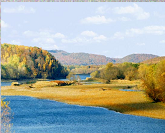 Sandbar on the Allegany River