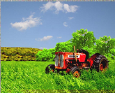 Red Tractor